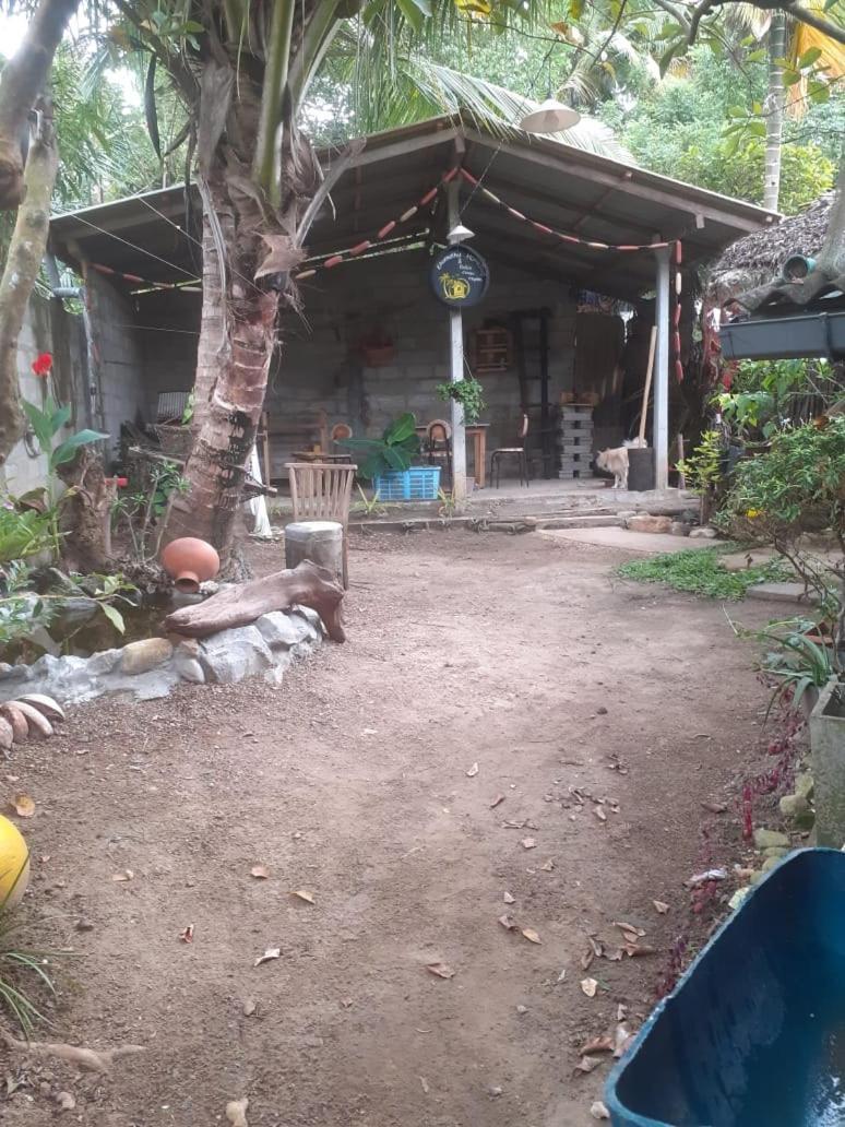 Ekamuthu Homestay ディックウェラ 部屋 写真